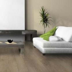 Ламинат Classen Wiparquet Authentic 8 Narrow  (Классен Аутентик 8 Нарров)