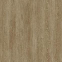 Виниловая плитка Oneflor Europe ECO 55 Planks