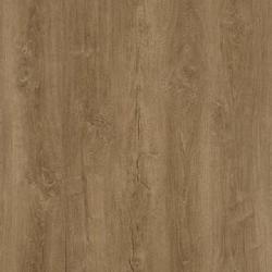 Виниловая плитка Oneflor Europe ECO 55 Planks